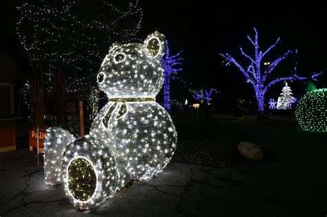 Wild Winter Lights returns to the Cleveland Metroparks Zoo, with new drive-through option ...