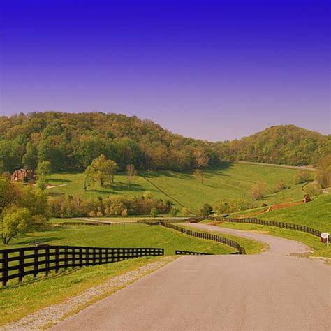 An All-American Road Trip | American road trip, Trip, Franklin tennessee