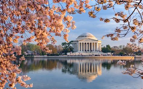 The Best Places to See Cherry Blossoms in 2019 - and When to Plan Your ...