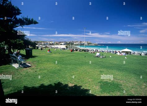 Australia, Sydney, Bondi Beach showing grassy area and beach Stock Photo - Alamy