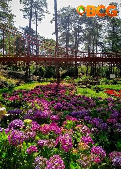 Botanical Garden Baguio City History | Fasci Garden