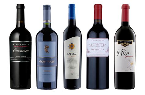 International Carmenère Day: 16 award-winning wines to discover - Decanter