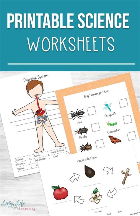 See this mega list of awesome printable Science worksheets and activities that your kids will ...