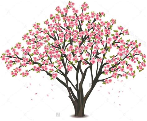 Flowering Tree Drawing at GetDrawings | Free download