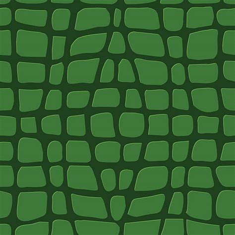 Royalty Free Alligator Clip Art, Vector Images & Illustrations - iStock
