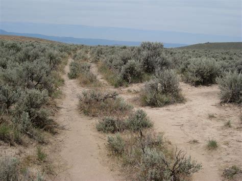 Oregon trail wagonwheel ruts | the Oregon Trail was one of t… | Flickr