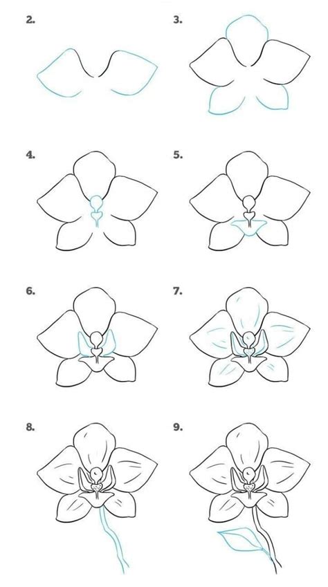 Easy Drawing Tutorials for Beginners - Cool Things to Draw Step By Step