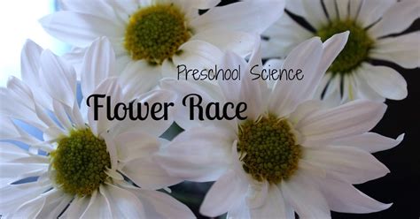 Flower Race: Preschool Science ~ Reading Confetti