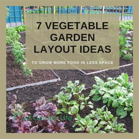 Vegetable Garden Layout