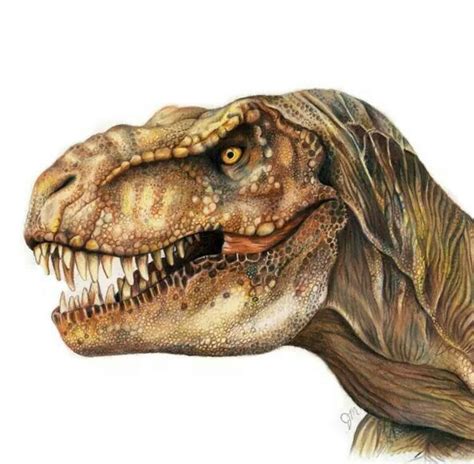 Colored pencil art by Julianna Maston | Dinosaur drawing, Dinosaur sketch, Dinosaur art