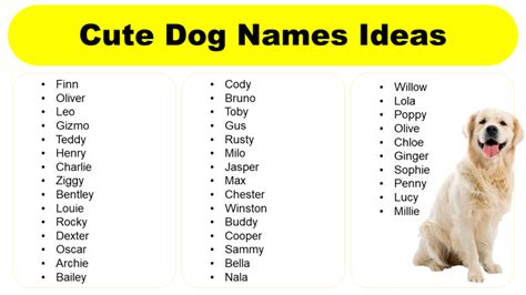 List of Cute Dog Names for Your Adorable Pet - GrammarVocab