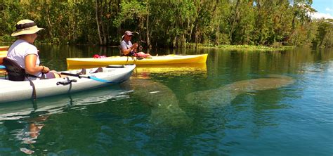 KAYAK SILVER SPRINGS Archives - Silver Springs Kayaking