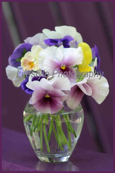 Pansy Bouquet F-V-0089-13 | Pansies flowers, Small flower arrangements ...