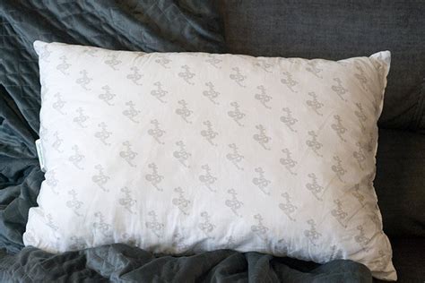 MyPillow Review | World's Most Comfortable Pillow?