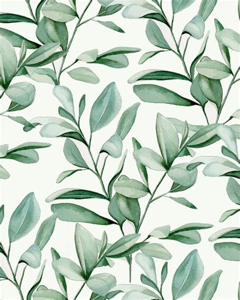 Watercolor Eucalyptus Leaves | Flower background wallpaper, Watercolor ...