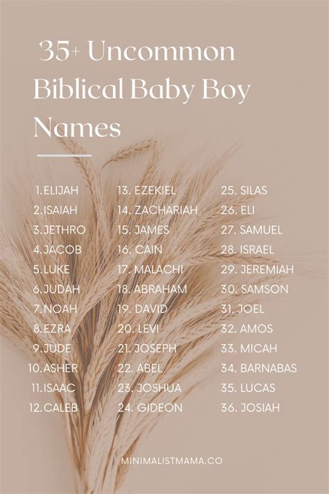 Pin on Baby Boy Names ☀︎