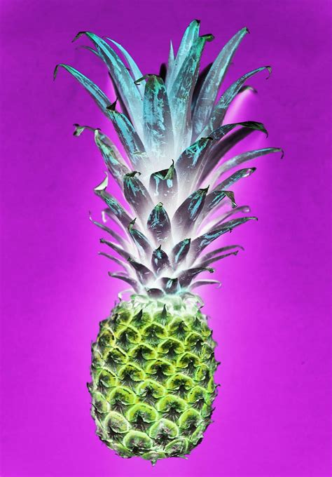 HD wallpaper: pineapple fruit on purple background, nature, desktop, flora | Wallpaper Flare