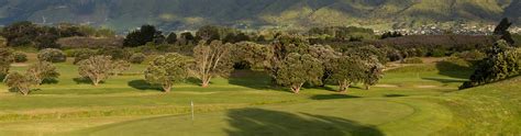 Home - Waikanae Golf Club