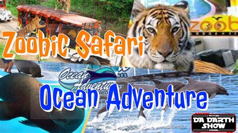 Zoobic Safari | Subic Ocean Adventure - YouTube