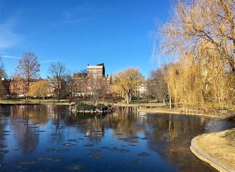 Boston Common in Winter Photograph by Anne Sands - Pixels