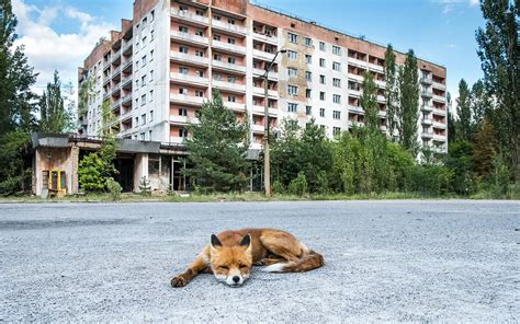 Is It Safe to Visit Chernobyl? | Live Science