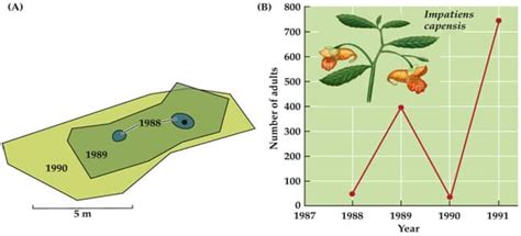 Ecology: Population Distribution and Abundance | SchoolWorkHelper