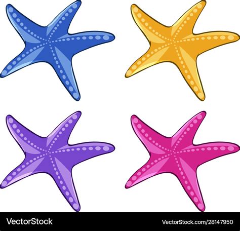 Starfish in four different colors Royalty Free Vector Image