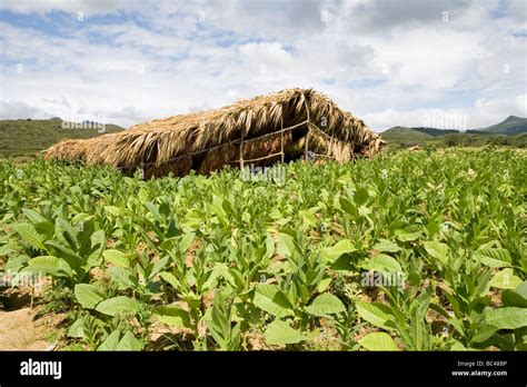 Cibao valley hi-res stock photography and images - Alamy