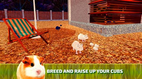 Wildlife Predator Attack: Guinea Pig Pet Rodent Survival Simulator ...