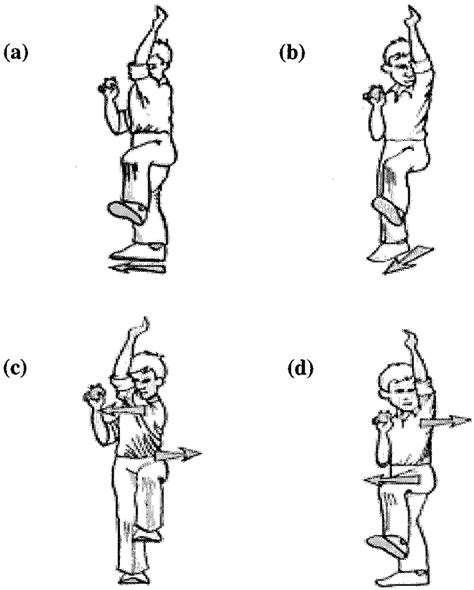 The batter' s view of the various fast bowling techniques. The set-up... | Download Scientific ...