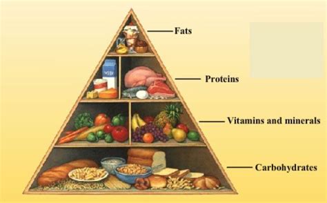 Components of Food