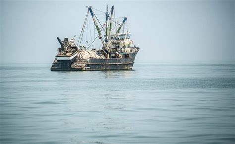 Illegal, Unreported and Unregulated (IUU) fishing | Food and ...