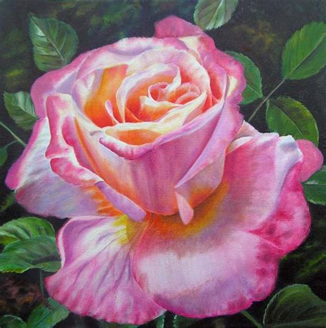 Large Pink Rose Oil Painting - Work in progress of creamy white Rose Elfe - Fairy Rose