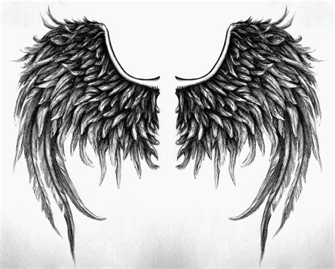 fallen angel wings design No4 by SwarzezTier on DeviantArt