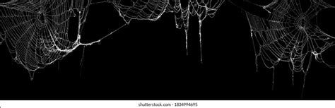 Real Creepy Spider Webs Hanging On Stock Photo (Edit Now) 1834994695