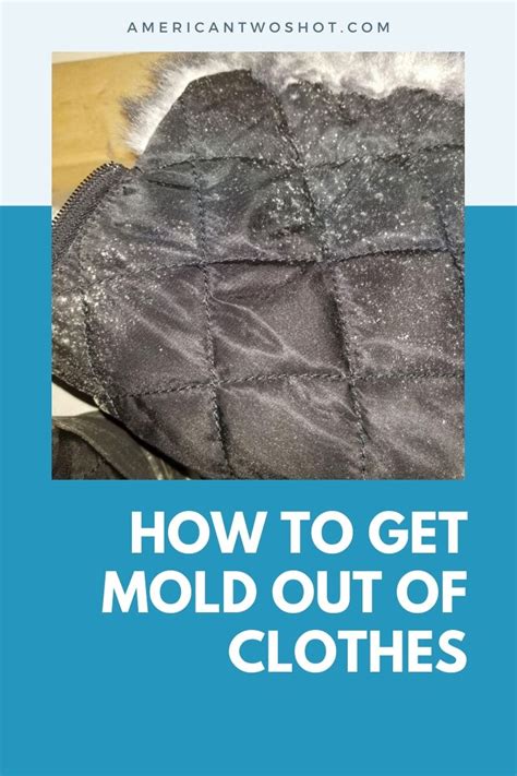 9 Things You Can Use to Get Mold Out of Your Clothes