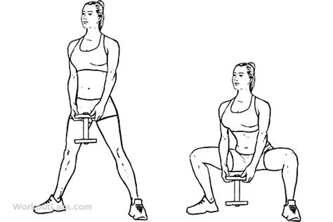 Sumo / Plié Dumbbell Squat | Illustrated Exercise guide - WorkoutLabs