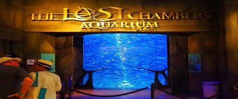 The Lost Chambers Aquarium - VooTours Tourism