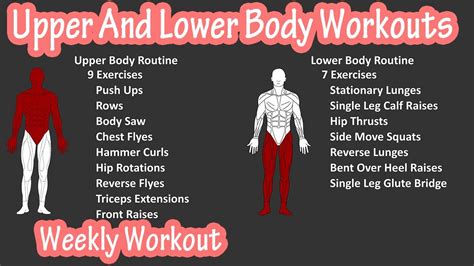 Weekly Upper And Lower Split Workout, Exercise Routine With Dumbbells, Body Weight For Beginners ...