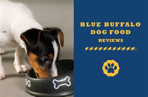 Blue Buffalo Dog Food Reviews [2019]: Best Dog Food Brand Yet?