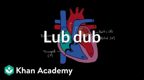 Lub Dub | Circulatory system physiology | NCLEX-RN | Khan Academy - YouTube