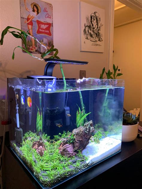 Any advice for my setup? : Aquariums