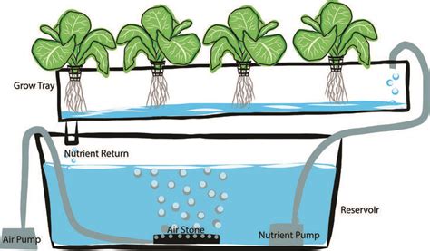 5 Best Air Pumps For Hydroponics System 2018: Plants Need Oxygen!