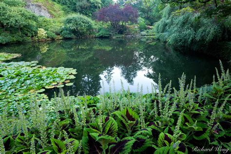 Sunken Garden Pond at The Butchart Gardens | Richard Wong Photography