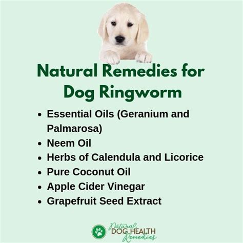 Natural Dog Ringworm Remedies | Home Treatment for Ringworm on Dogs
