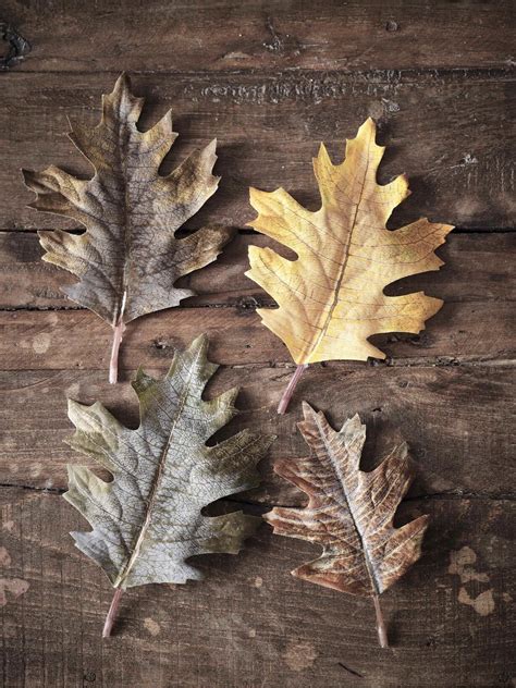 Faux Autumn Leaves | Artificial Autumn Leaves | Nordic House