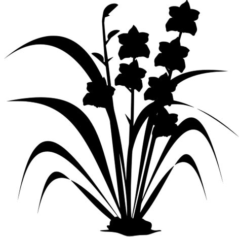 SVG > graphics room orchid blooming - Free SVG Image & Icon. | SVG Silh