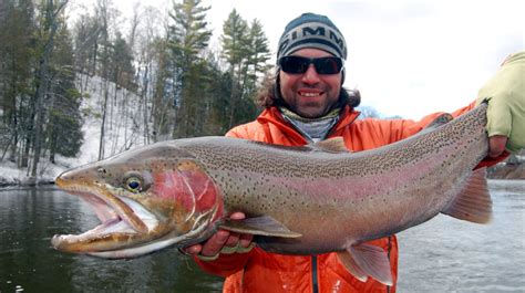 Michigan Fishing Reports | Steelhead Salmon Trout Reports Michigan Rivers