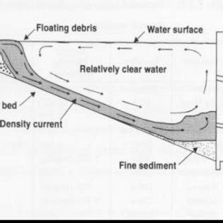 Schematic diagram of reservoir sedimentation processes [7] | Download ...