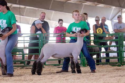 Home - Des Moines County Fair